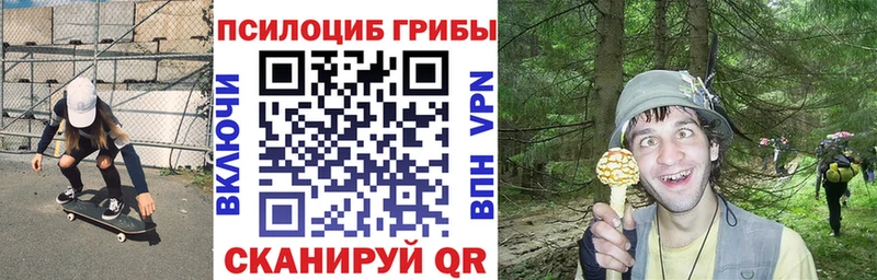 Псилоцибиновые грибы Psilocybe  Сегежа 