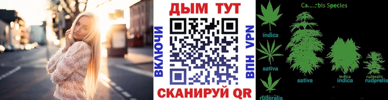 KRAKEN маркетплейс  что такое наркотик  Сегежа  Бошки Шишки марихуана 